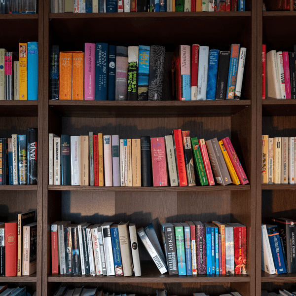 Ein Bücherregal mit einer Auswahl an Büchern.