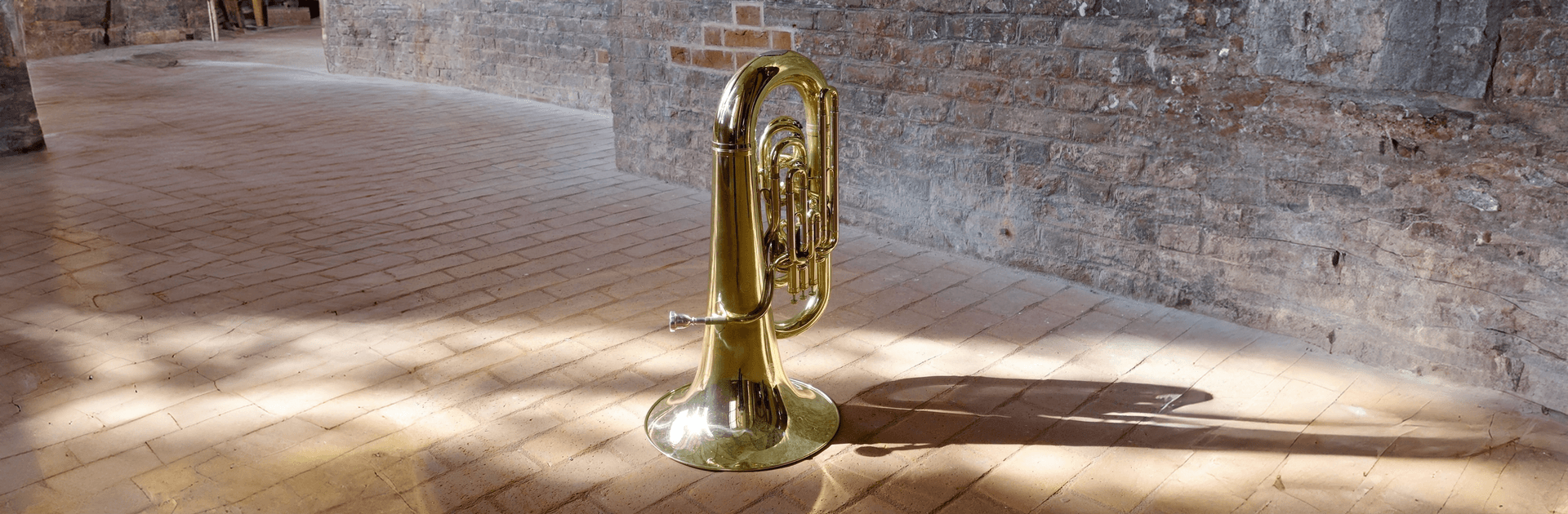 Instrument des Jahres: Die Tuba